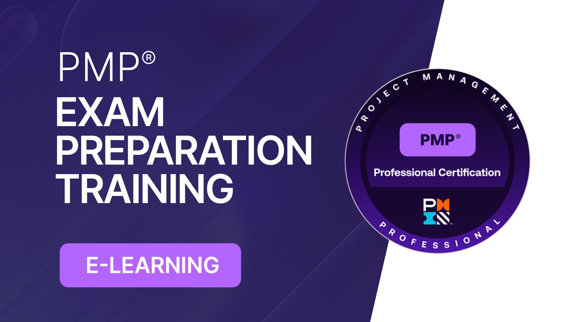 PMP Exam Preparation e-Learning (Self-Paced) PMP101
